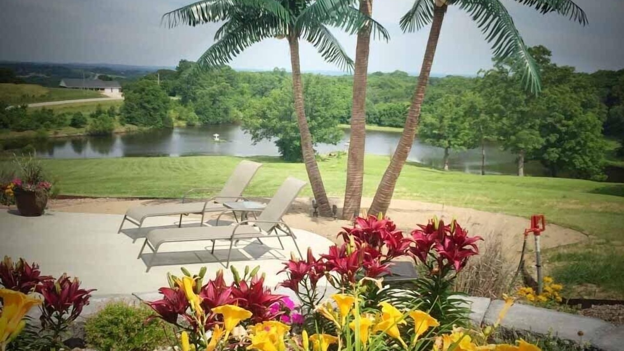 Photo of Outdoor in Belle