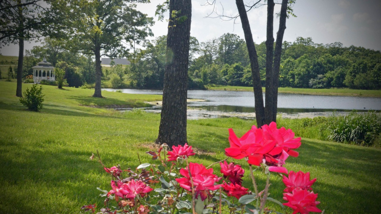 Photo of Outdoor in Belle