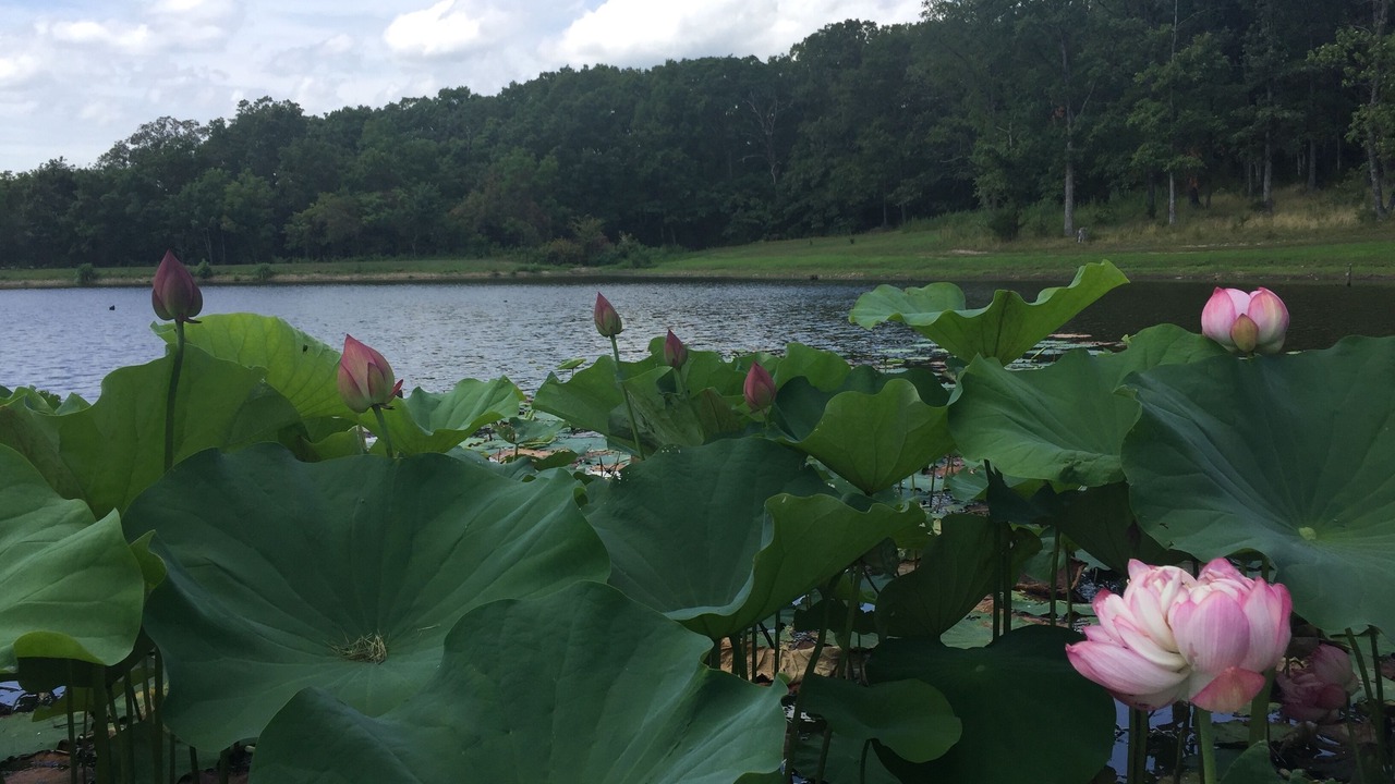 Photo of Outdoor in Belle