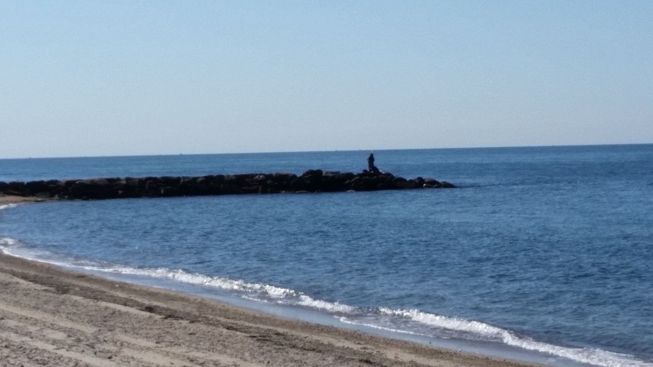 Photo of Others in Falmouth Heights