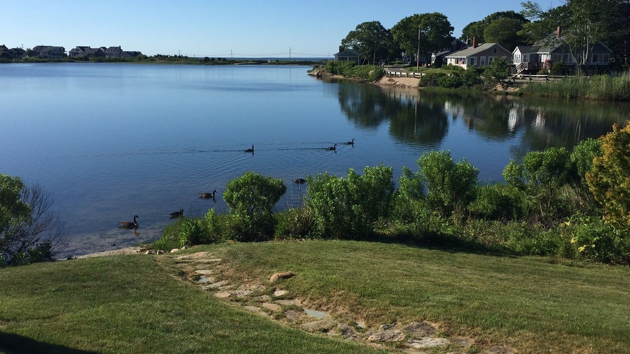 Photo of Others in Falmouth Heights
