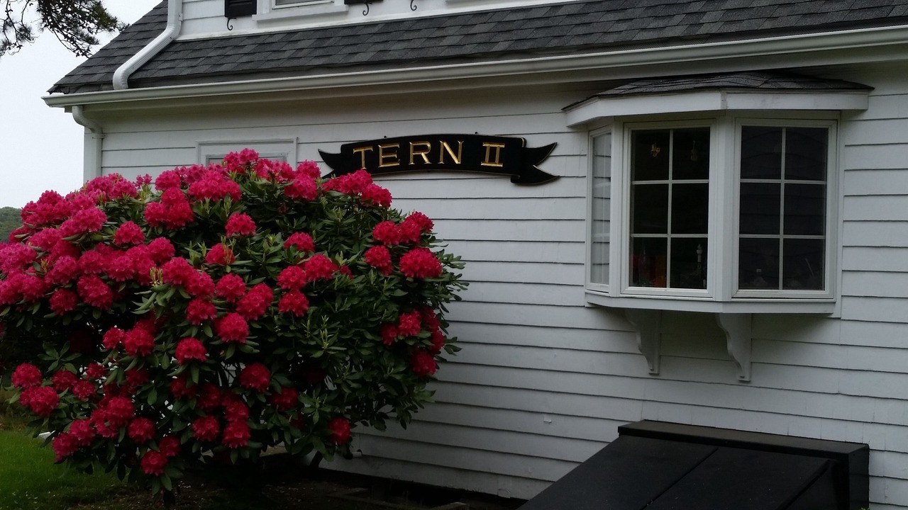 Photo of Others in Falmouth Heights
