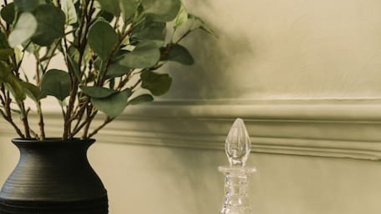 Photo of Others in West End