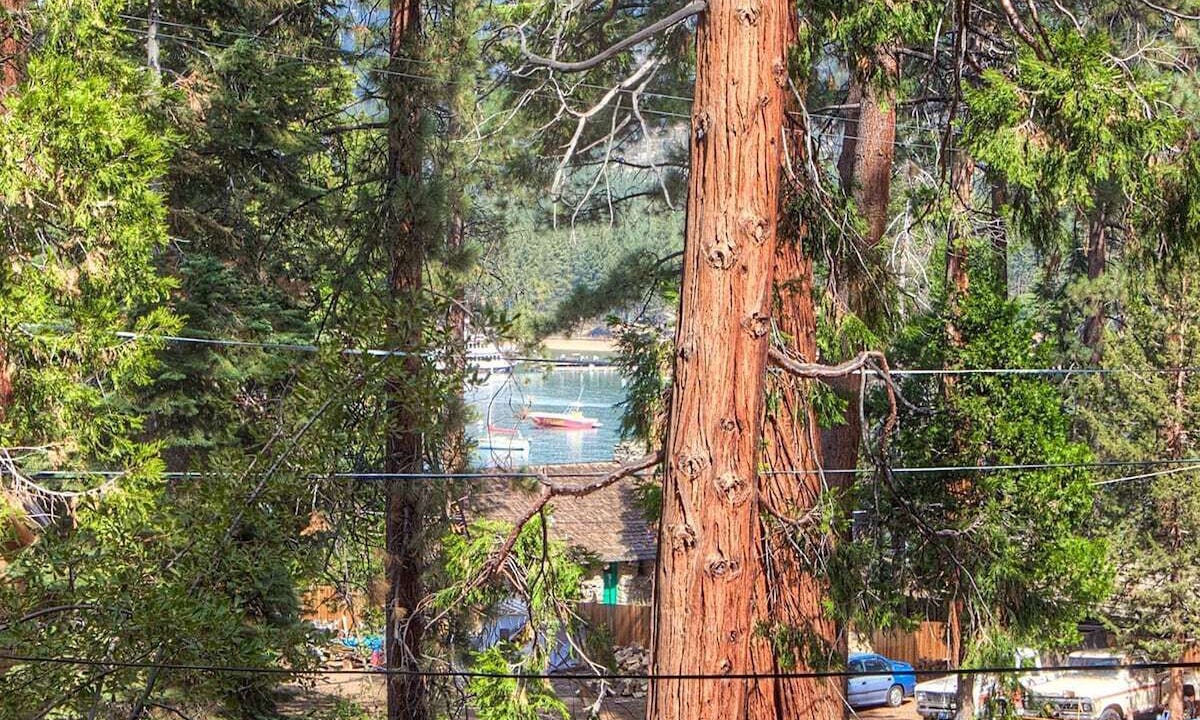 Photo of Outdoor in Zephyr Cove