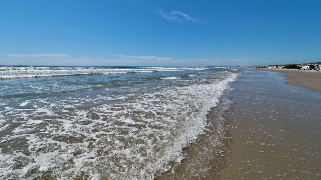 Photo of Others in Corpus Christi