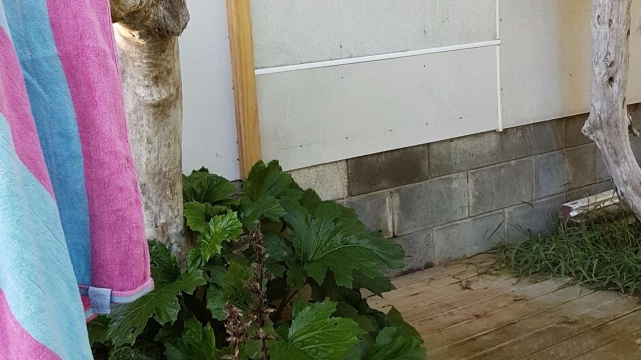 Photo of Outdoor in Awakino