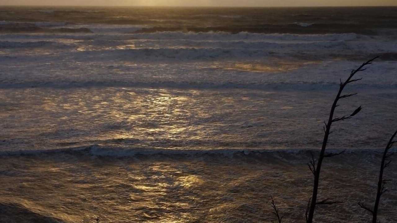 Photo of Others in Awakino