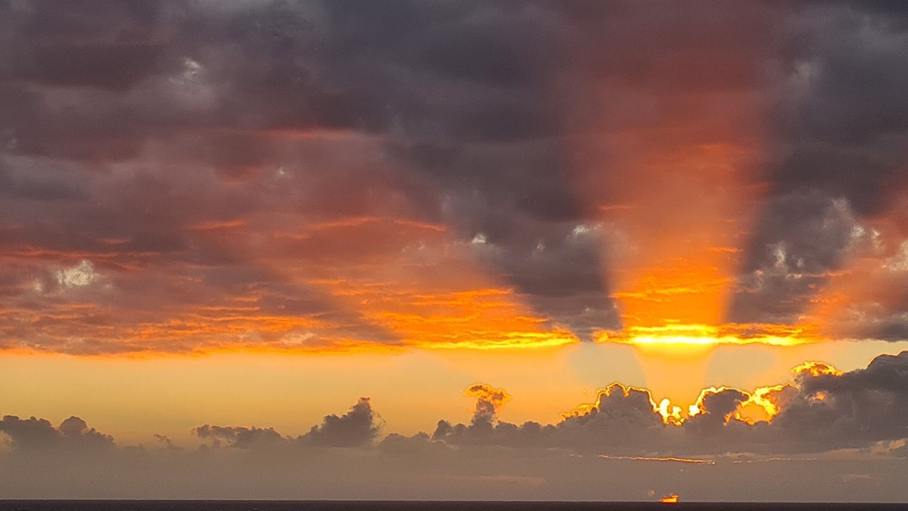 Photo of Others in Awakino