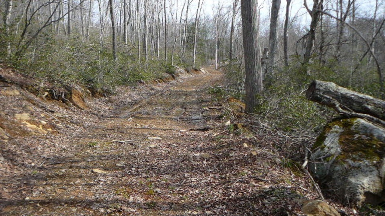 Photo of Outdoor in Stafford