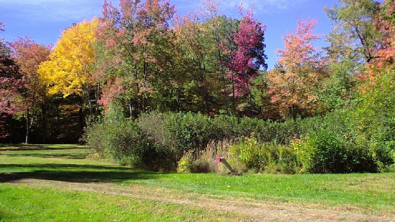 Photo of Outdoor in Stafford