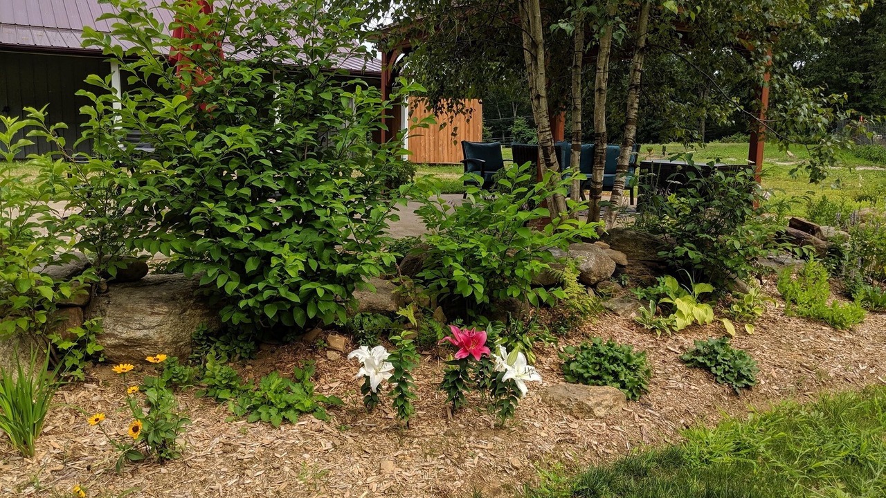 Photo of Outdoor in Stafford