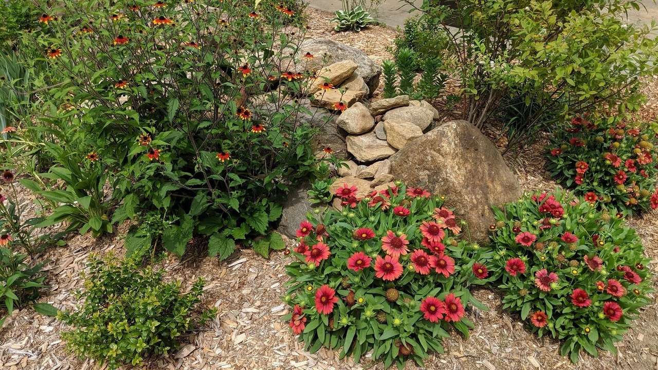 Photo of Outdoor in Stafford