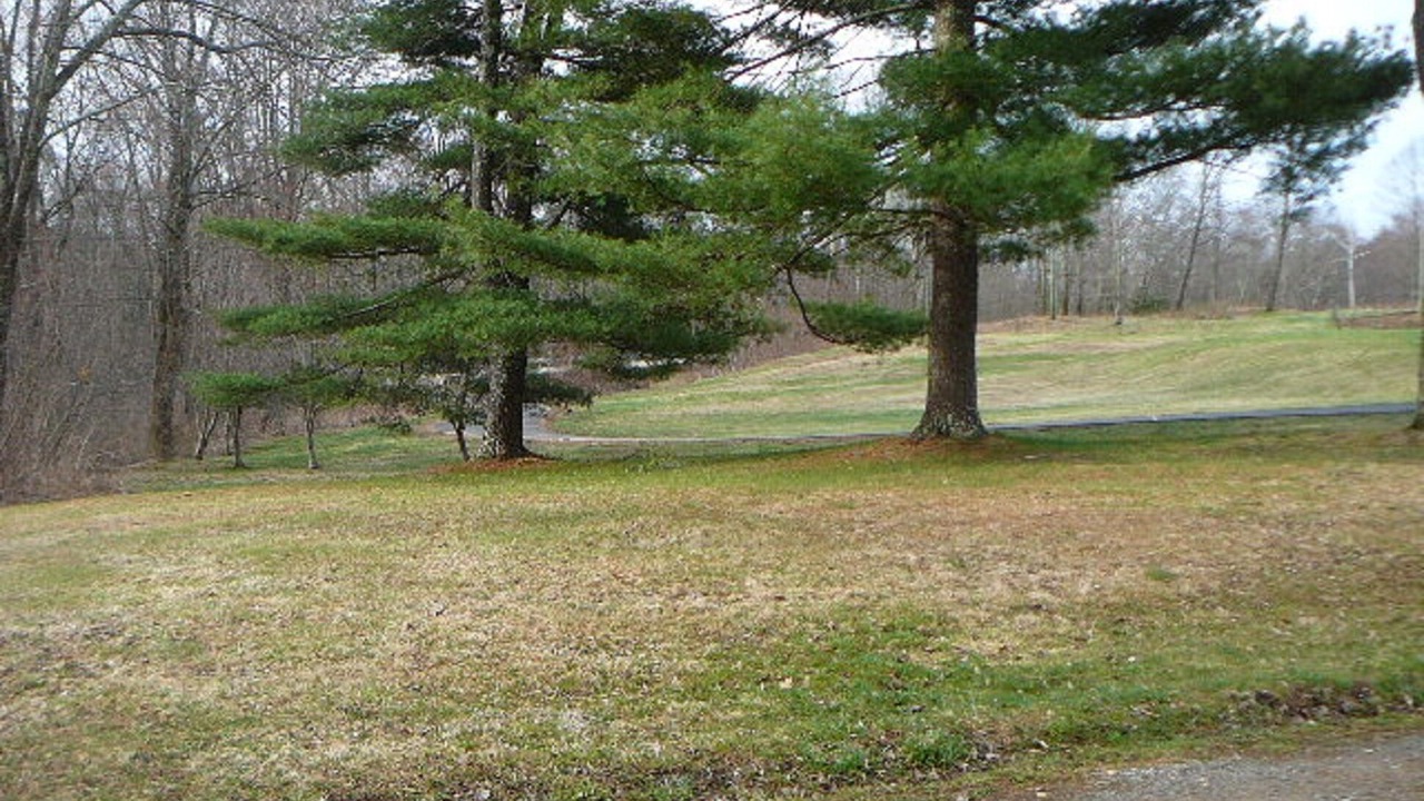 Photo of Outdoor in Stafford