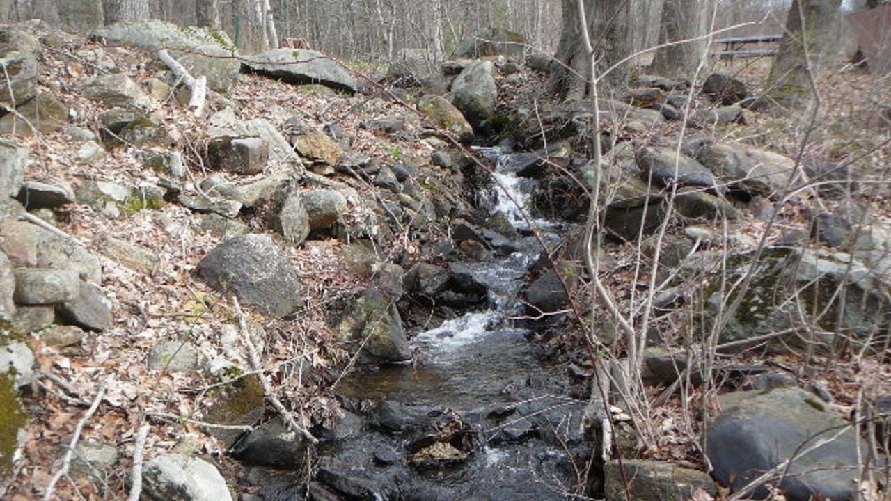 Photo of Outdoor in Stafford