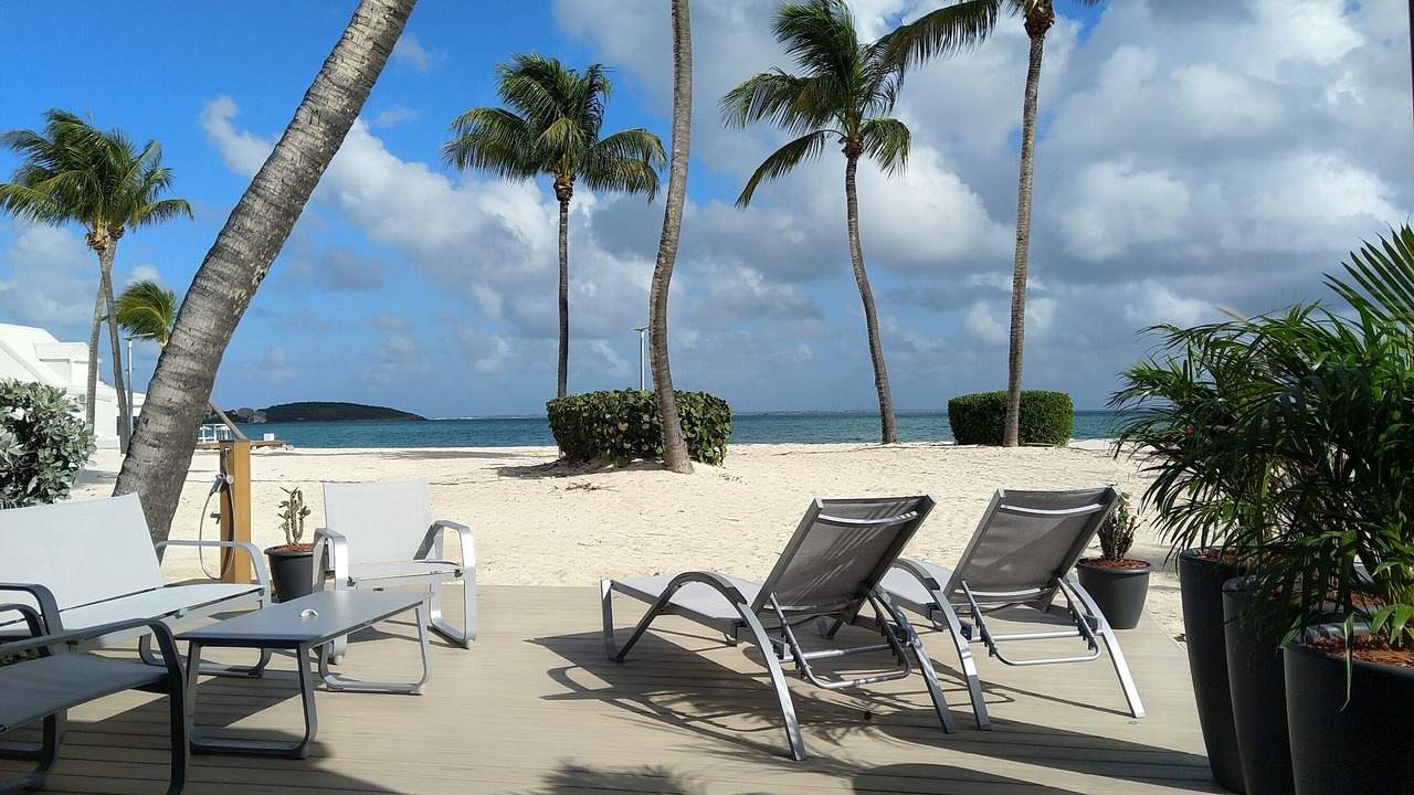 Photo of Others in Nettle Bay