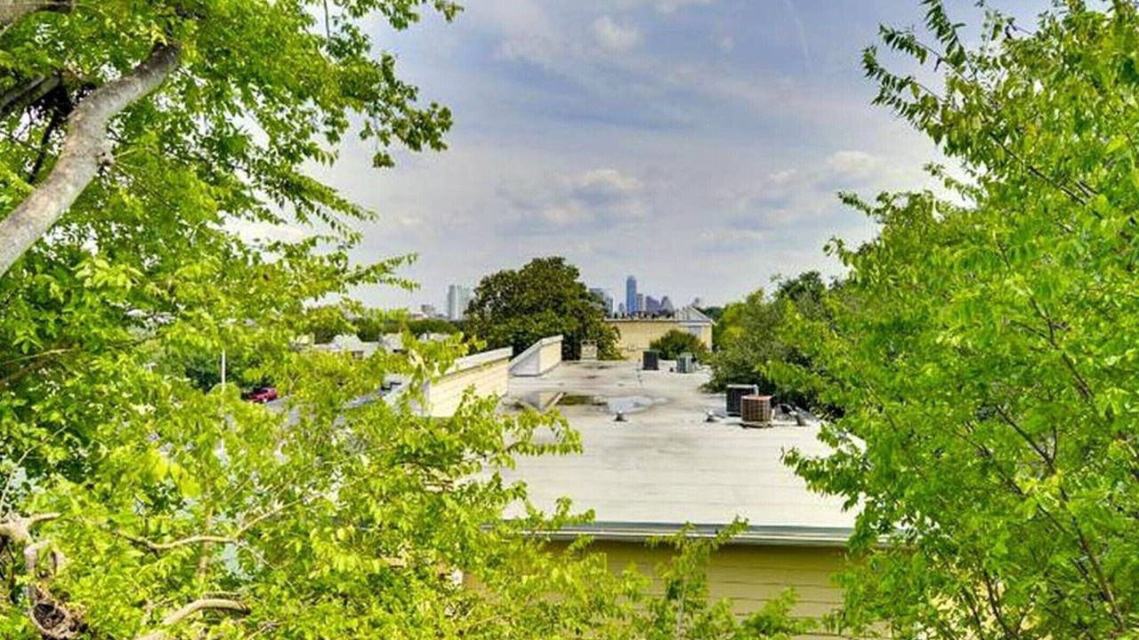 Photo of Outdoor in Barton Hills