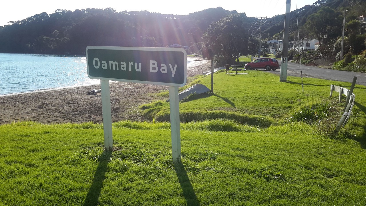 Photo of Outdoor in Coromandel