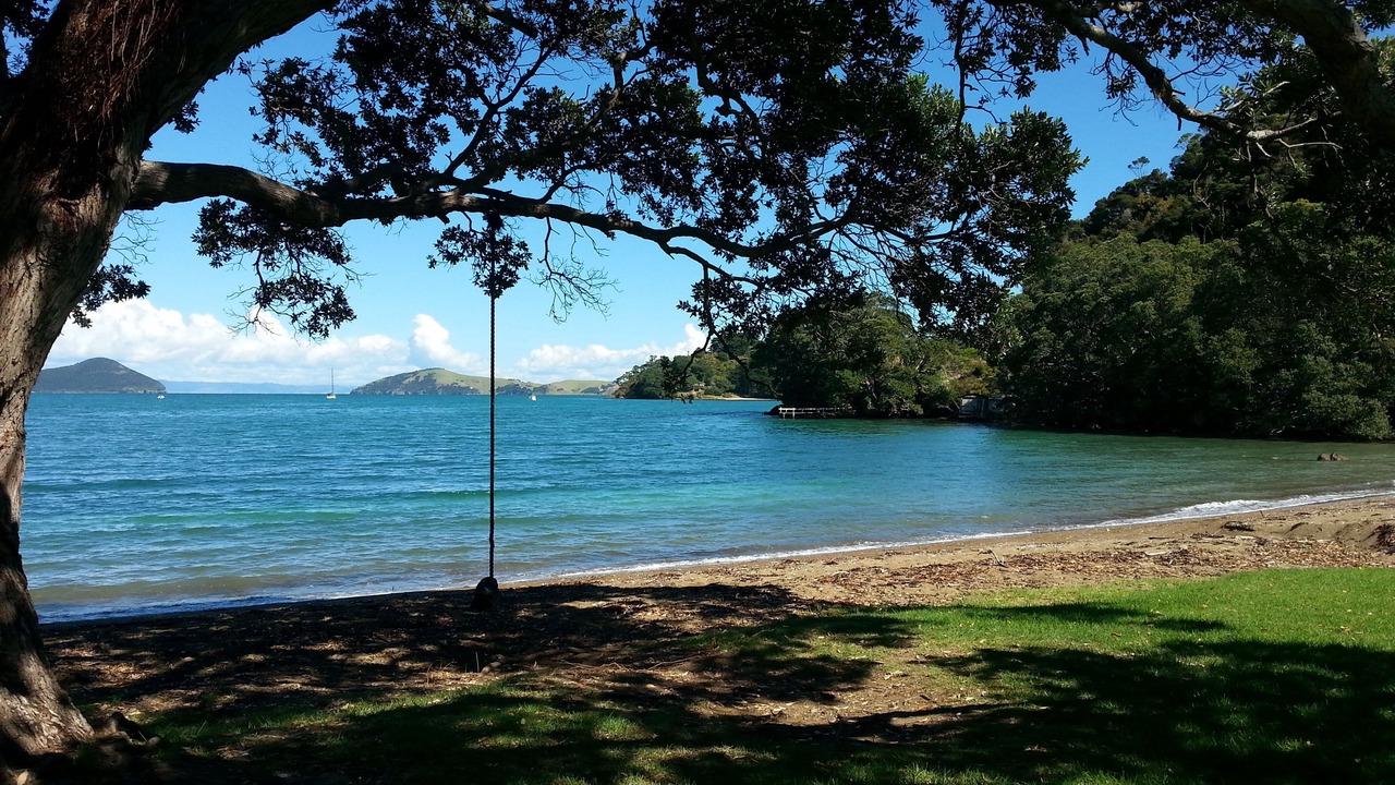Photo of Outdoor in Coromandel