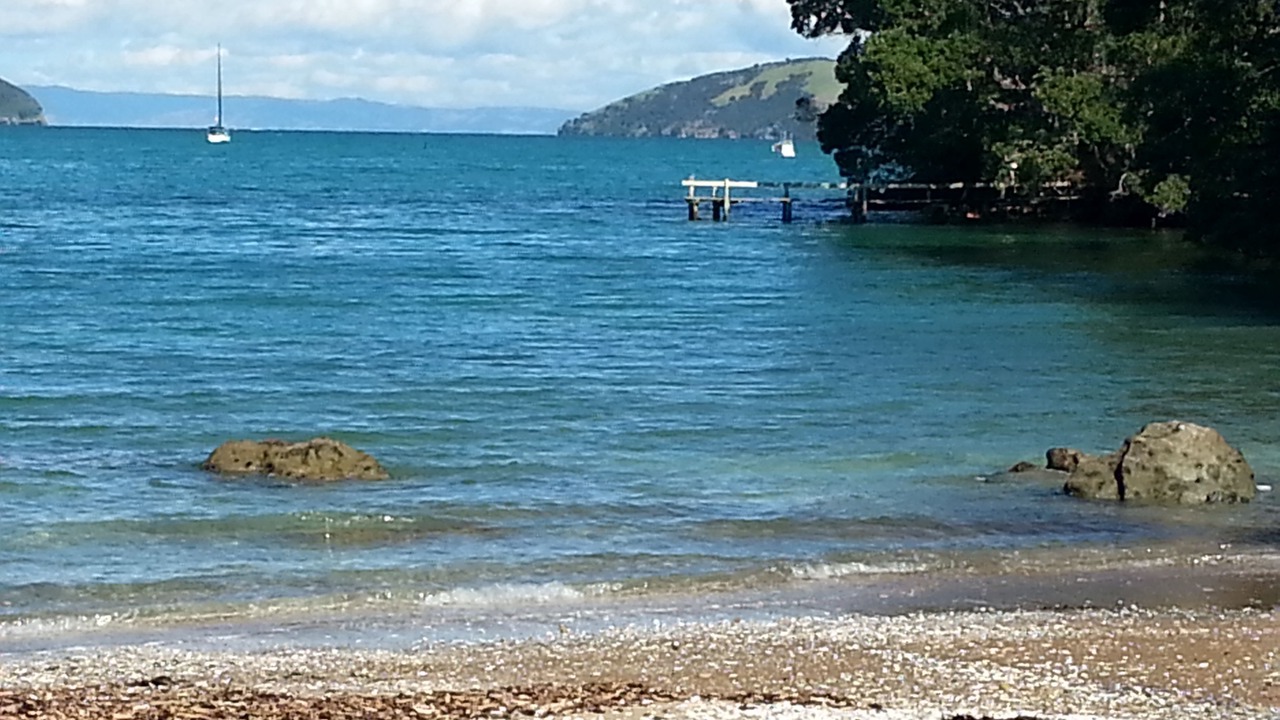 Photo of Outdoor in Coromandel