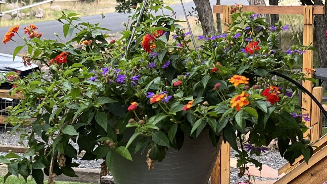 Photo of Outdoor in Pine Valley