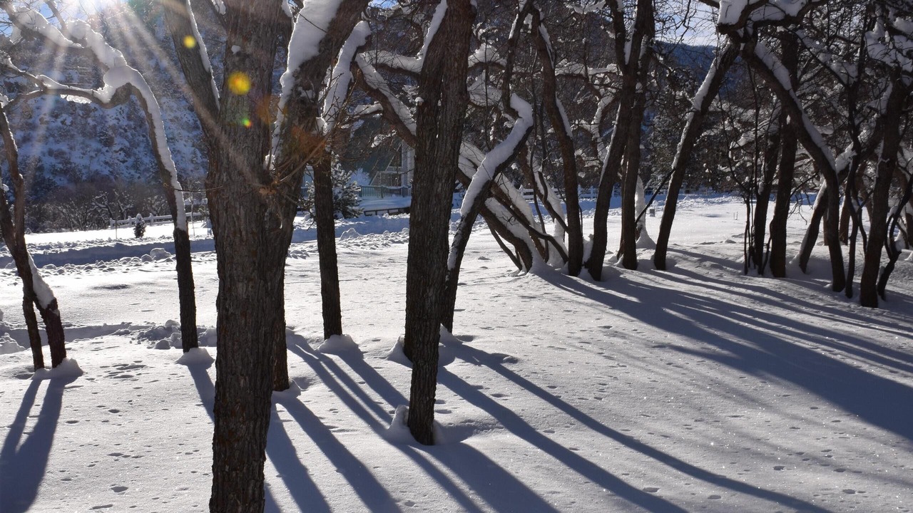 Photo of Others in Pine Valley