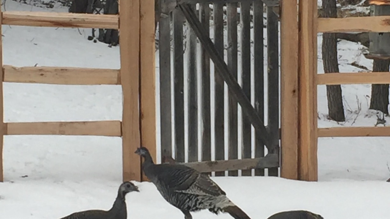 Photo of Others in Pine Valley