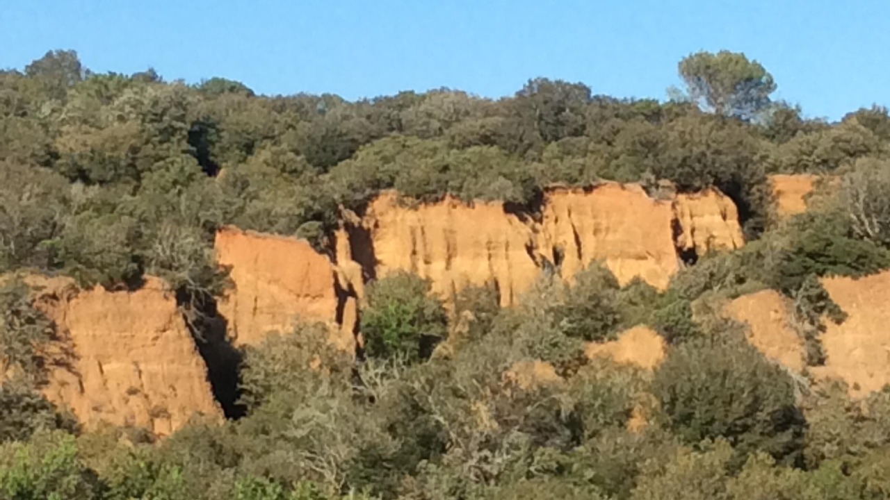 Photo of Others in Murviel-les-Beziers