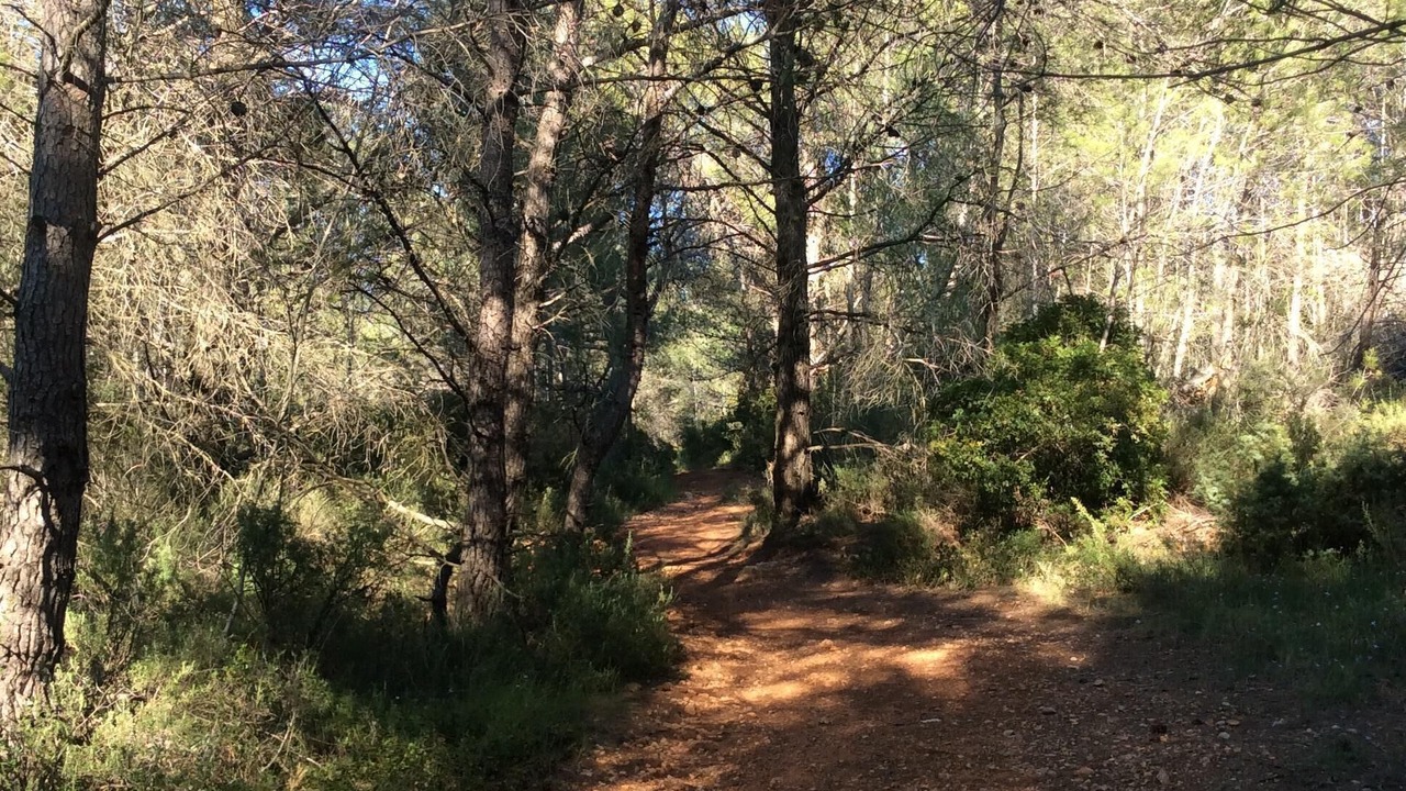 Photo of Outdoor in Murviel-les-Beziers