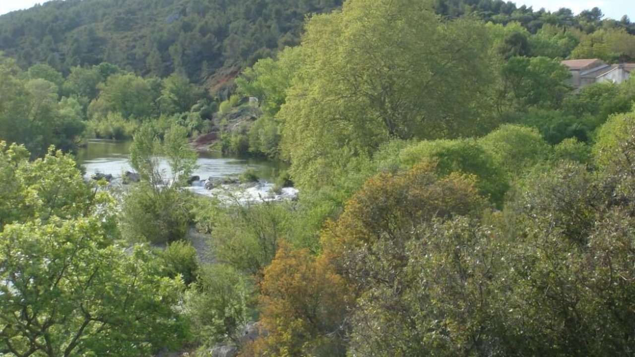 Photo of Others in Murviel-les-Beziers