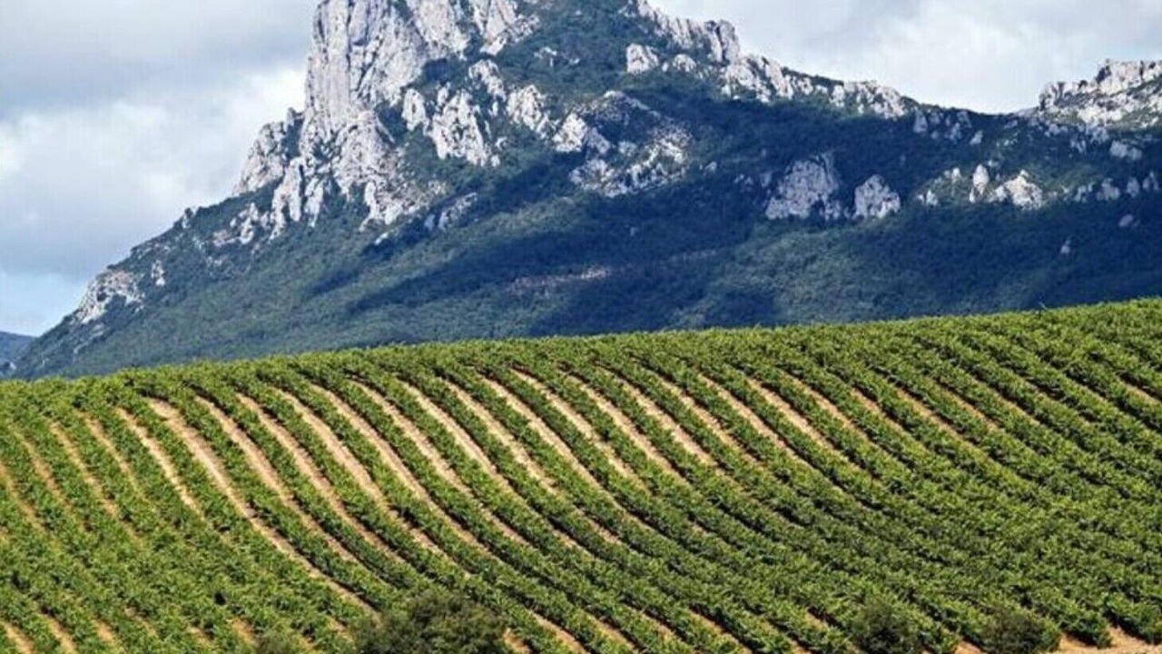 Photo of Outdoor in Lanciego/Lantziego