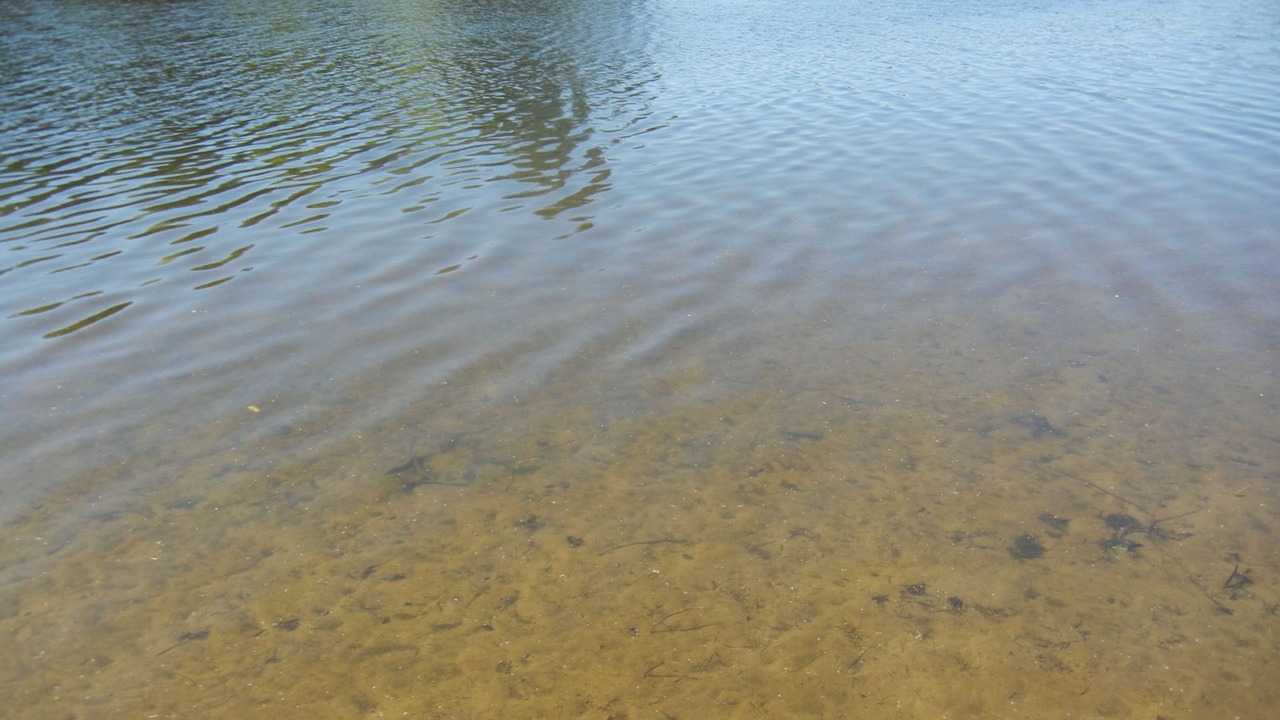 Photo of Others in Gloversville