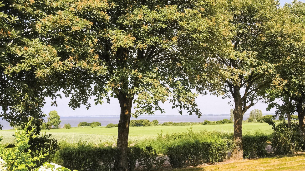Photo of Bedroom in Sydlangeland