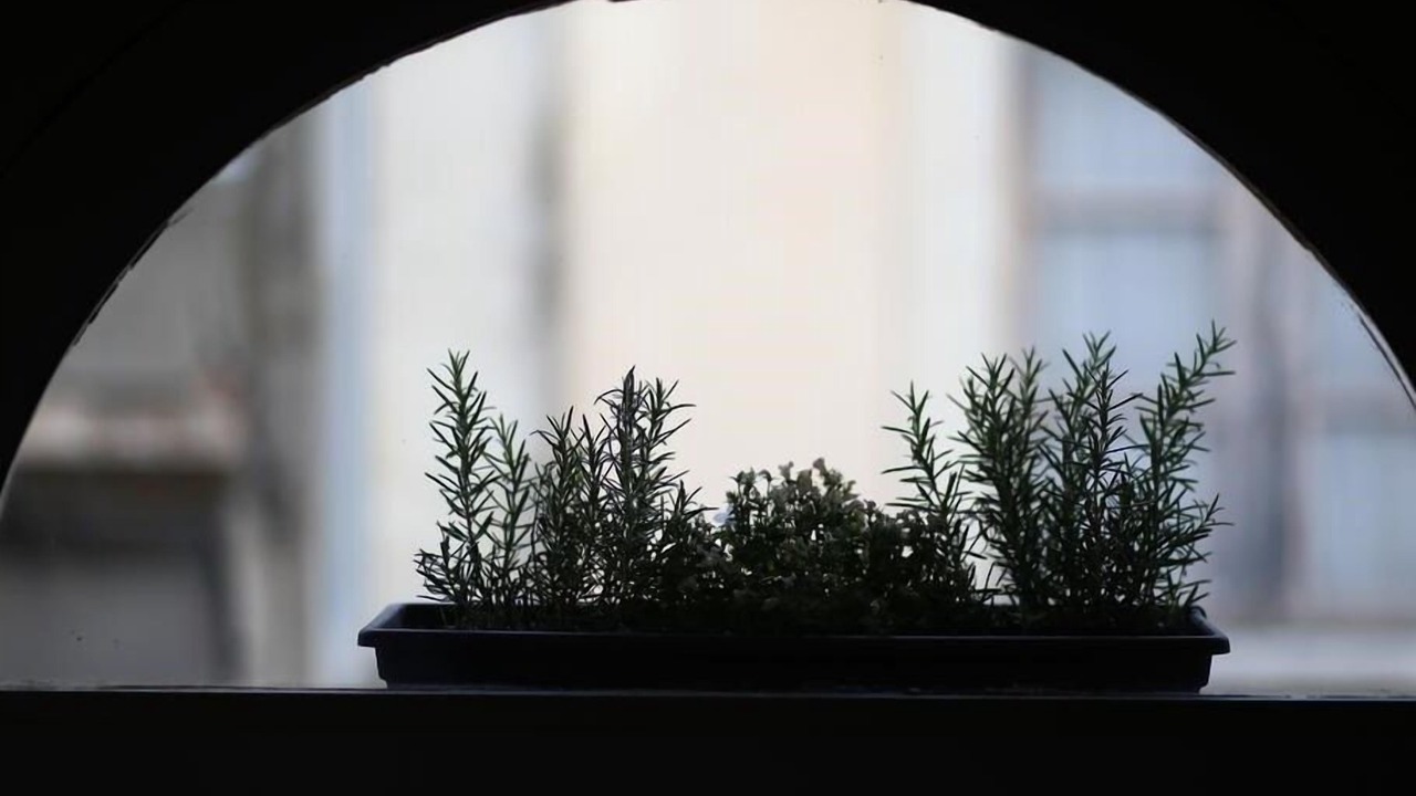 Photo of Others in Bastide Saint-Louis