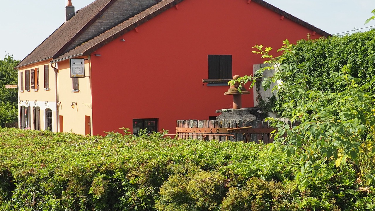 Photo of Outdoor in Dornecy