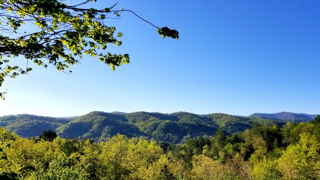 Photo of Others in Blue Ridge