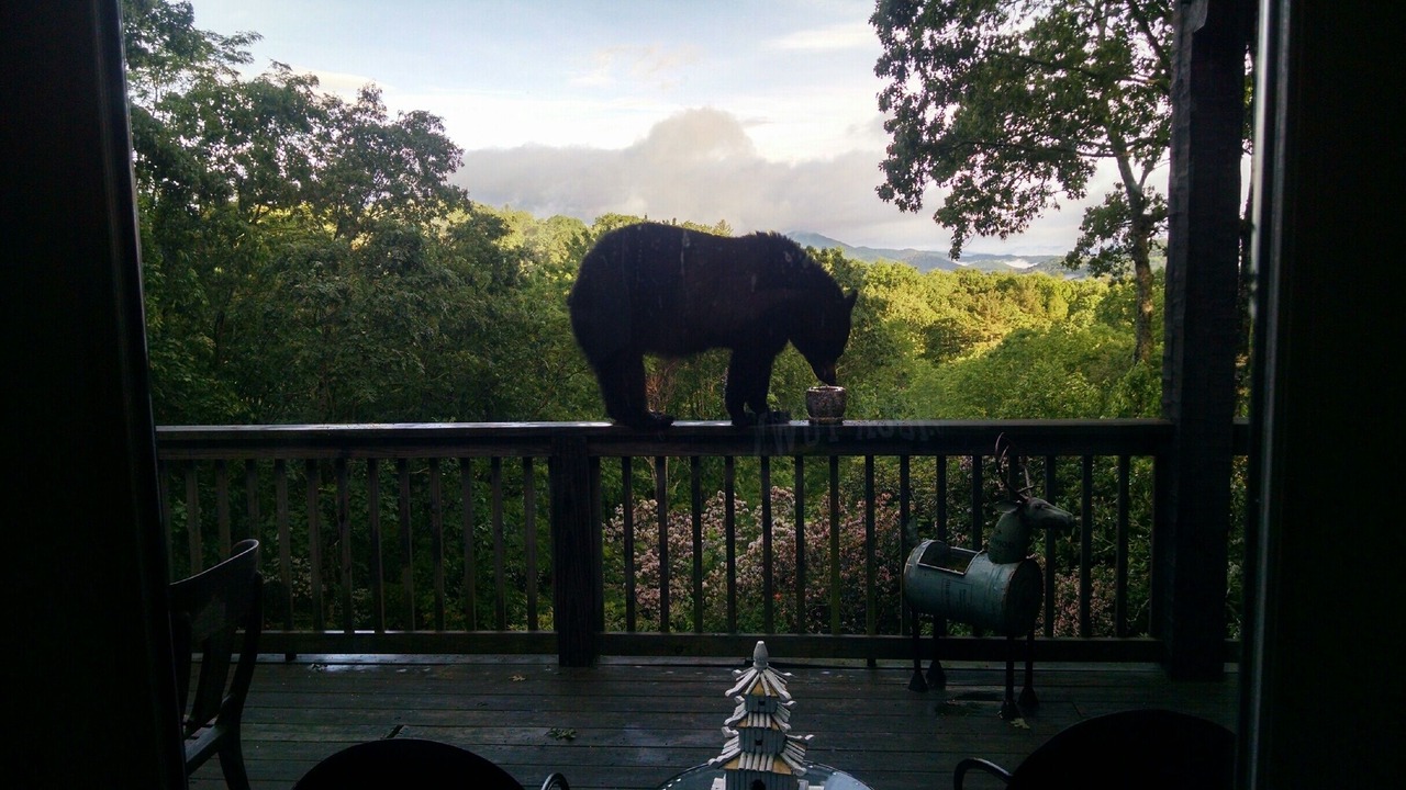 Photo of Others in Highlands