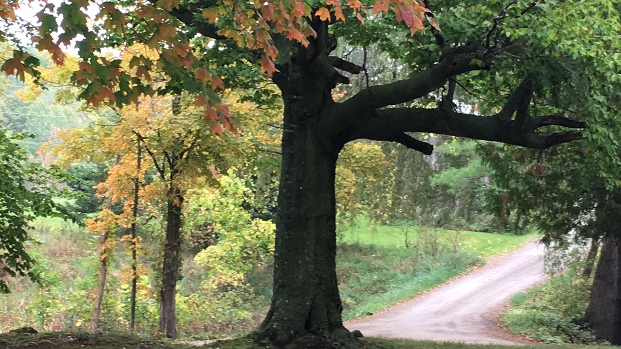 Photo of Outdoor in Charlevoix
