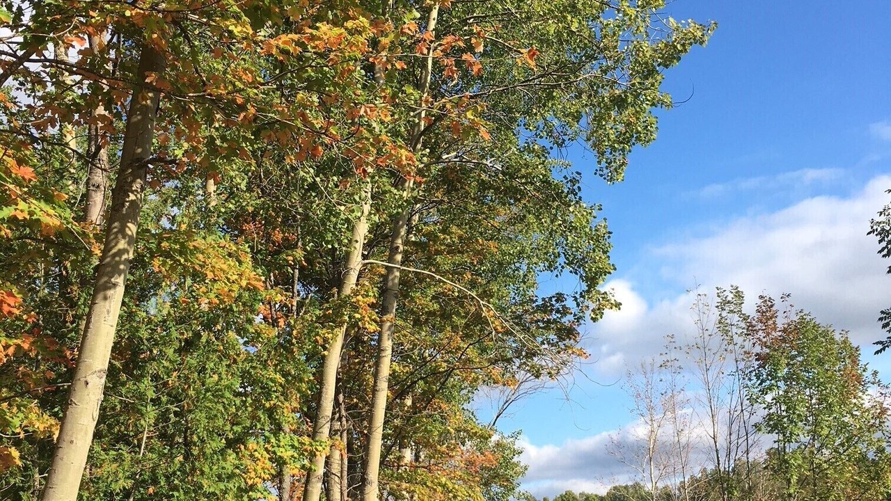 Photo of Outdoor in Charlevoix