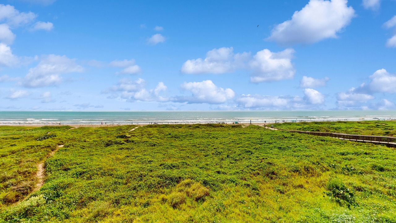 Photo of Others in South Padre Island