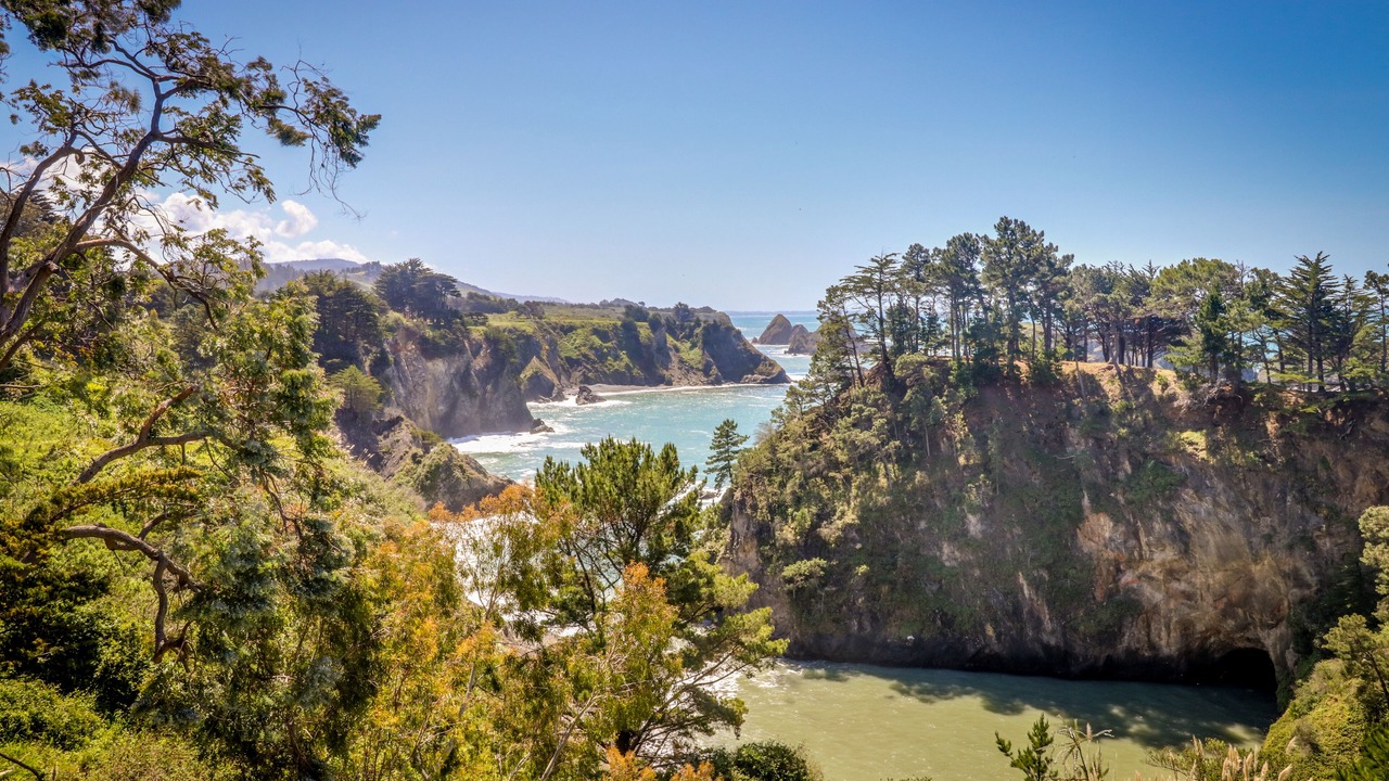 Photo of Others in Elk