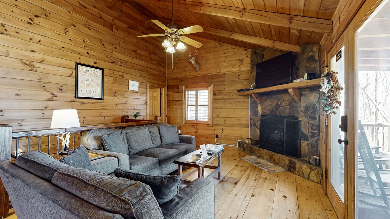 Photo of Livingroom in Blue Ridge
