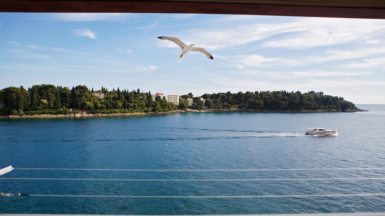 Photo of Others in Rovinj