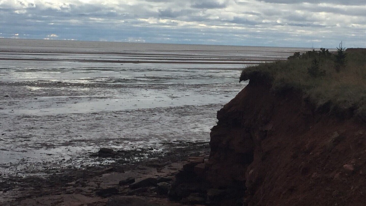 Photo of Others in Tryon