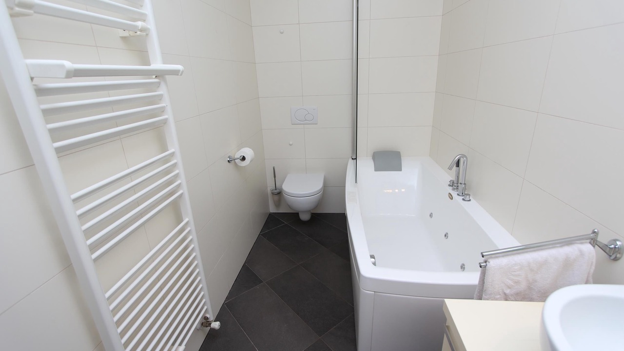 Photo of Bathroom in Borik