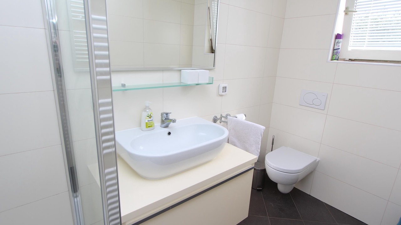 Photo of Bathroom in Borik
