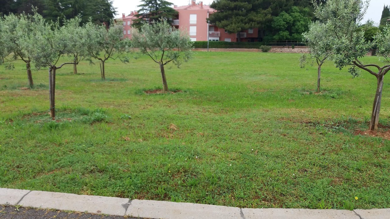 Photo of Outdoor in Novigrad