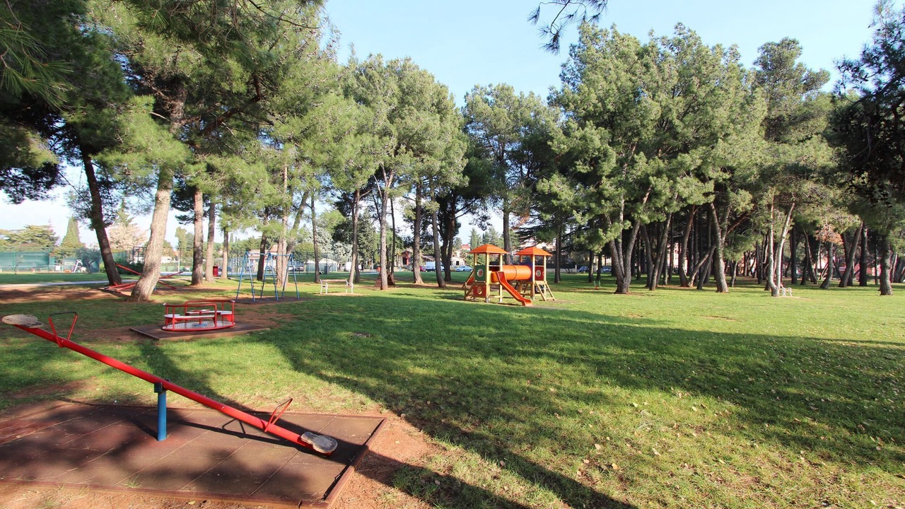 Photo of Others in Novigrad