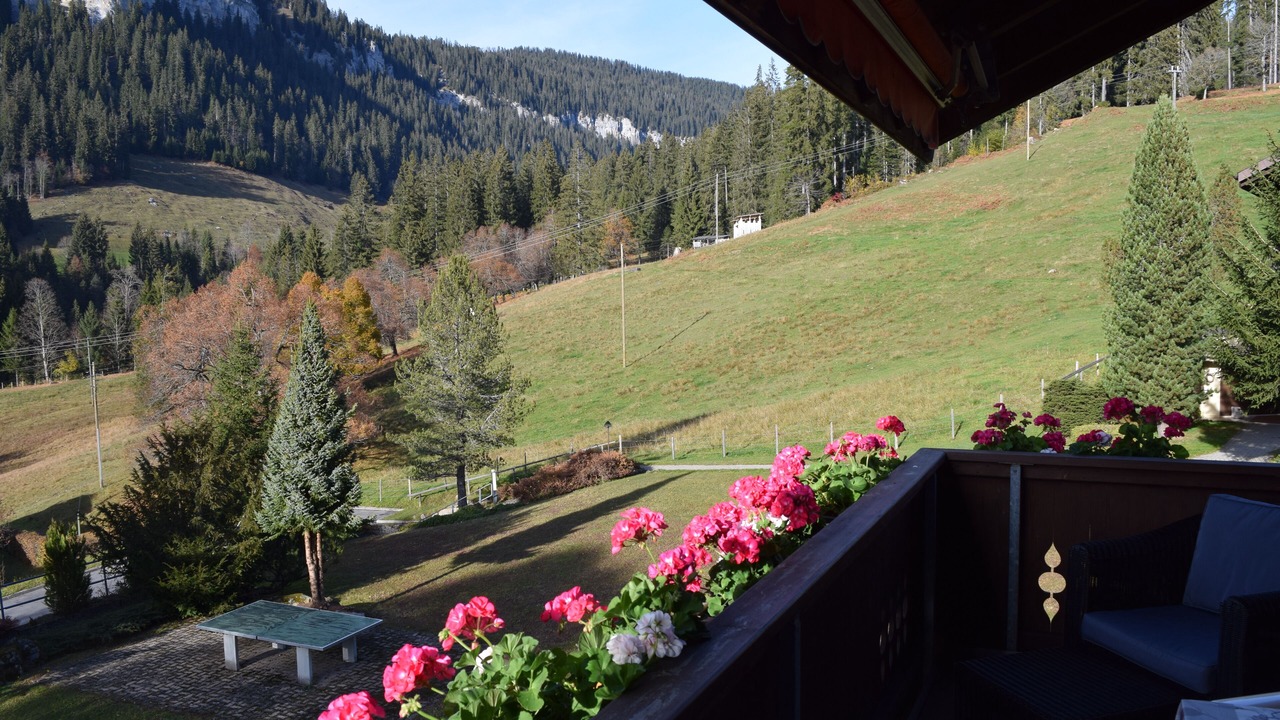Photo of Outdoor in Central Interlaken