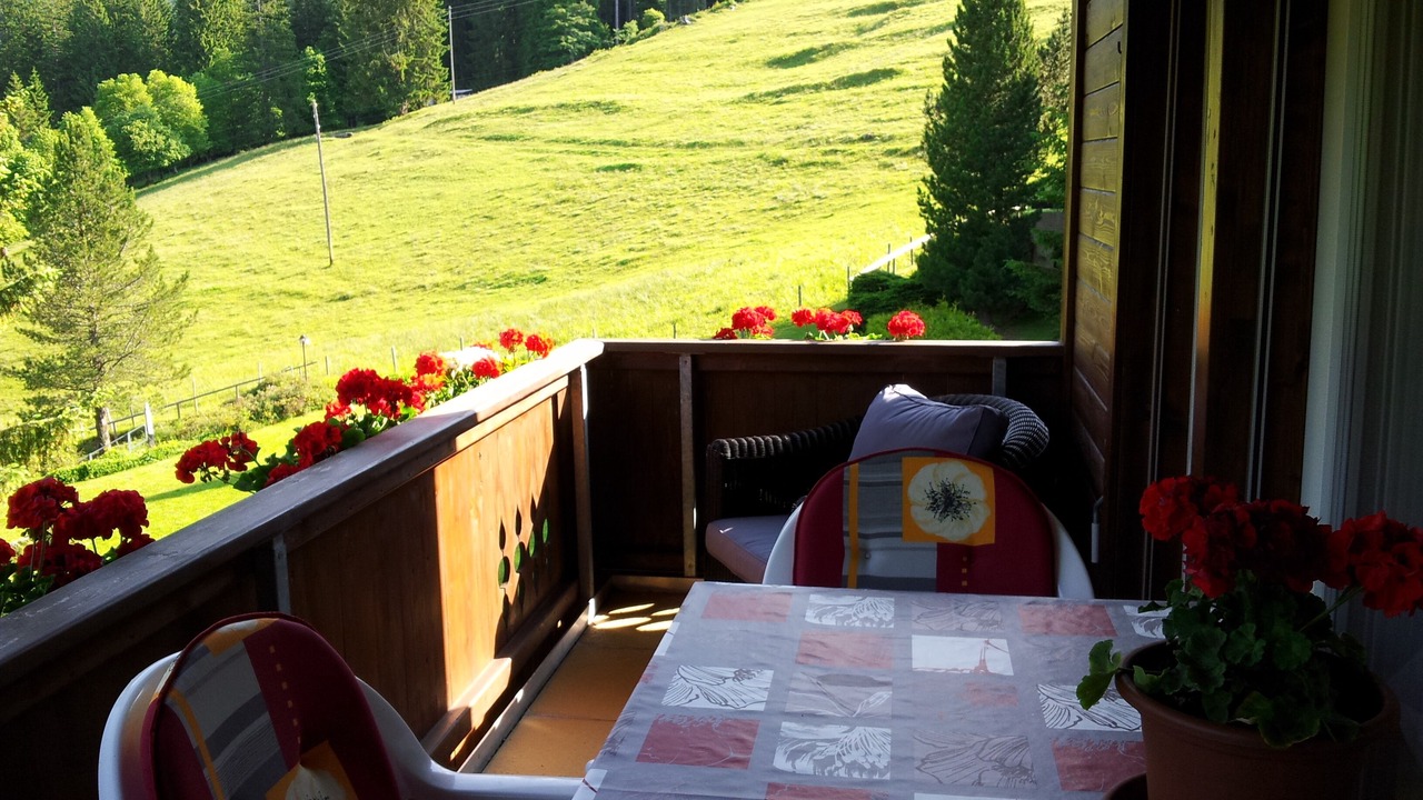 Photo of Outdoor in Central Interlaken