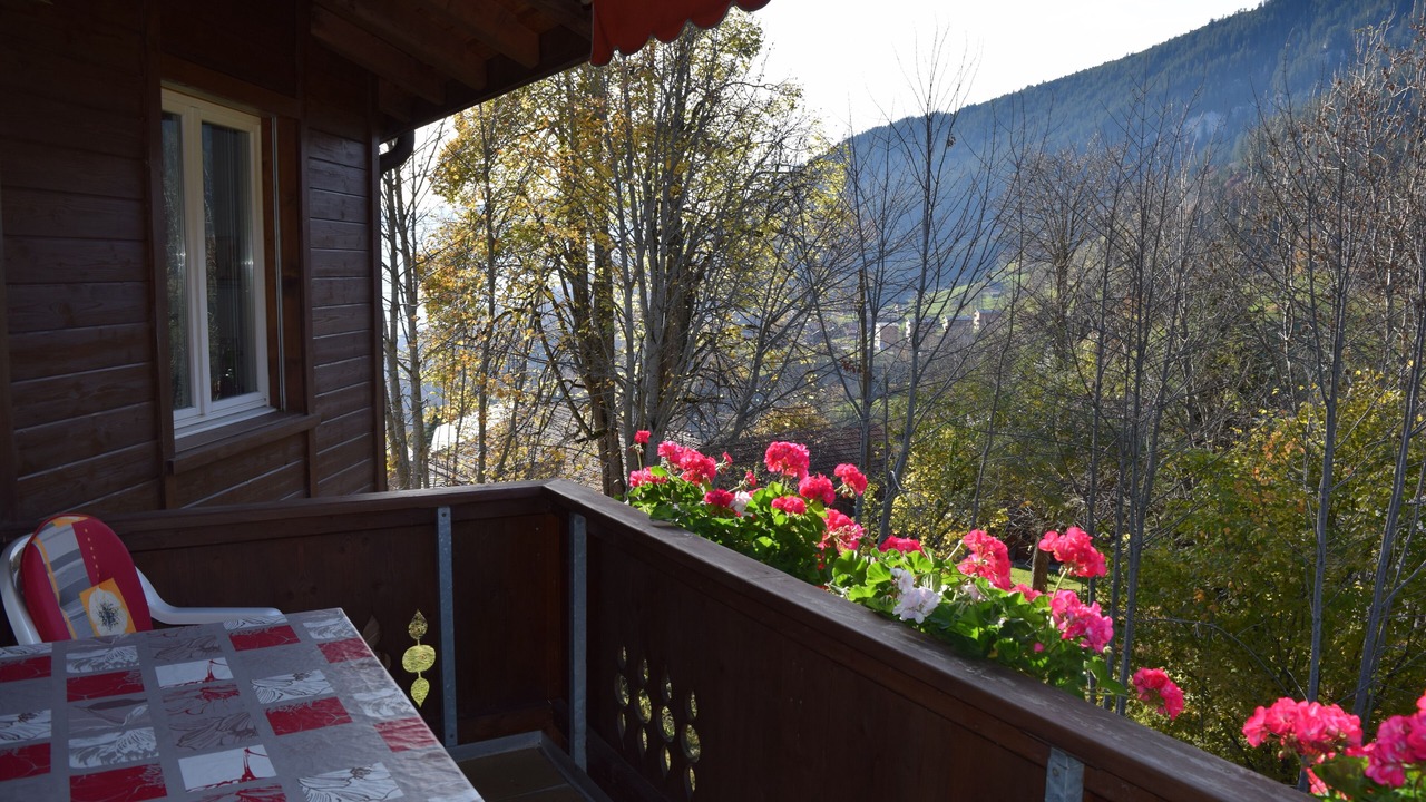 Photo of Outdoor in Central Interlaken